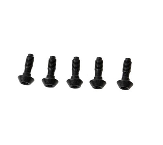 Banjo screw for MT series disc drakes